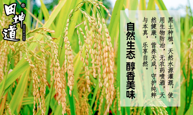田坤道 深耕食用農(nóng)產(chǎn)品研發(fā)，于平凡中鑄就非凡財(cái)富