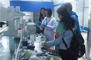 李忠副局長(zhǎng)率隊(duì)調(diào)研供深食用農(nóng)產(chǎn)品安全與研發(fā)工作，筑牢市民“舌尖上的防線(xiàn)”
