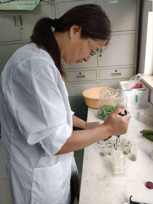加強農產品質量安全監管，筑牢消費者食用安全防線
